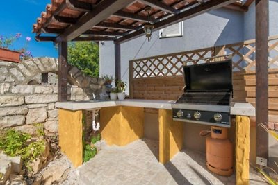 Rustic Villa Casa Dvi Mandule in Novigrad