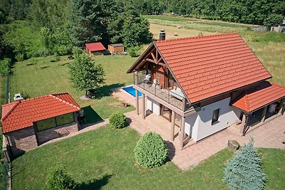 Villa Debelo Brdo by Villas Guide