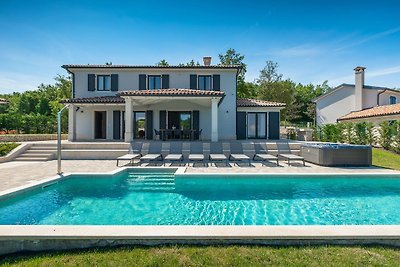 Luxury villa Arman with pool in Vižinada