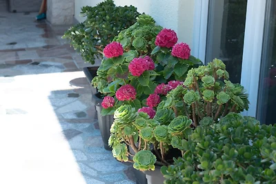 Studio Lucija with Terrace&Garden by Villas...