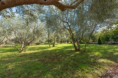 Apartman Kalac by Villas Guide