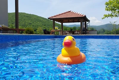 Villa Debelo Brdo by Villas Guide