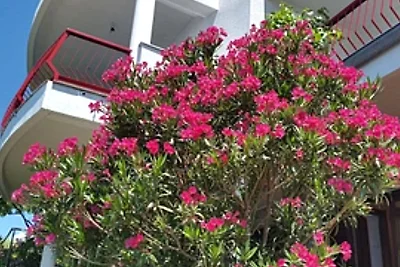 Melone Apartman 3 Senj by Villas Guide