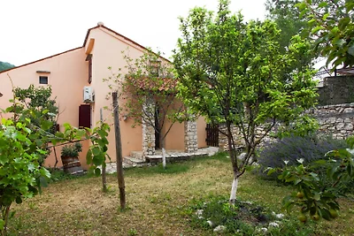 House Mirjana with pool by Villas Guide