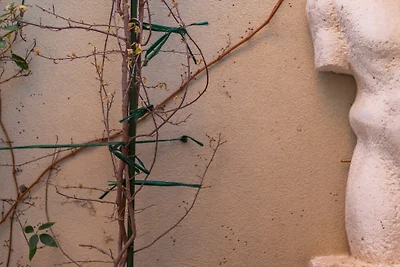 Villa Palazzo Antiqua beachfront Vis by Villa...