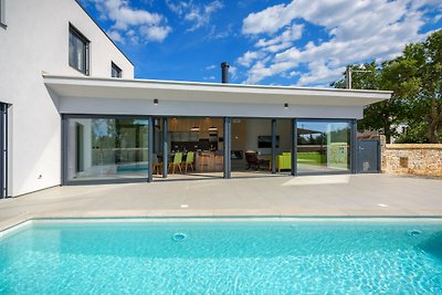 Beautiful Villa 115 with pool in Visnjan