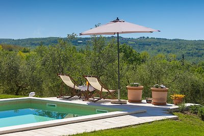 Beautiful Villa Cartolina with pool in Buje