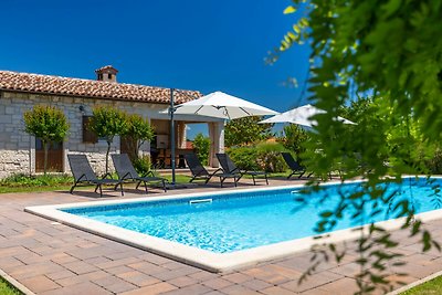 Rustic villa St. Martina with pool in Tinjan