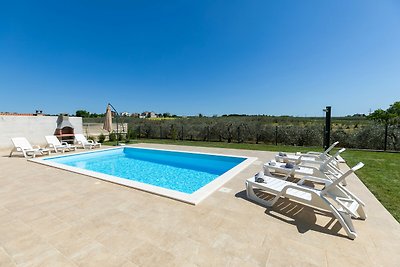 Activity villa Angelina with pool in Novigrad