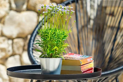 Villa Imortele aria with pool by Villas Guide