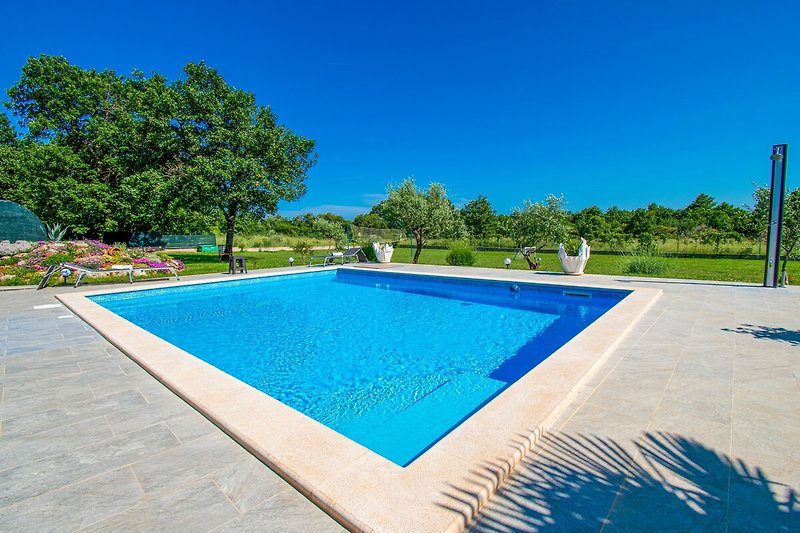 Schwimmbad mit blauem Wasser, umgeben von Pflanzen und Palmen.