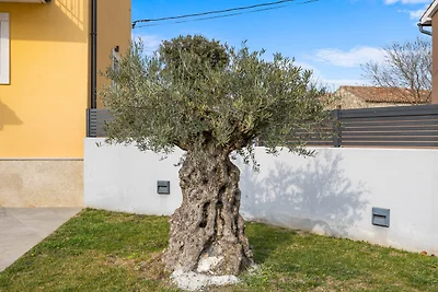 Villa Tramontana - by Istrabook