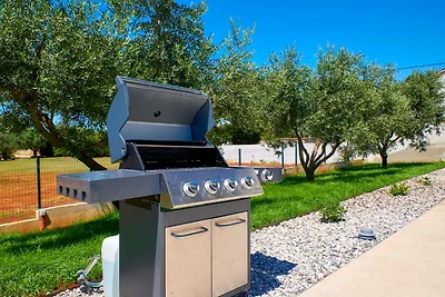 Villa Borina – Haus in ruhiger Lage