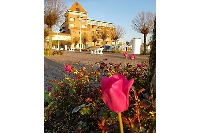 Sunshine  atemberaubend. Hafenblick
