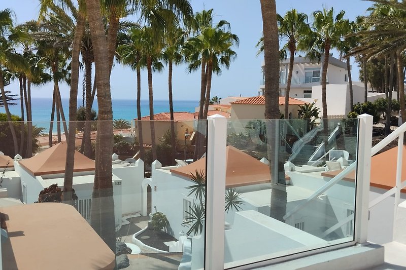 Dachterrasse mit Blick auf Palmen und das Meer