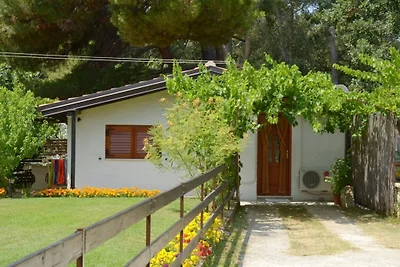 FERIENHAUS(30m2)STRAND50m-BANJOLE