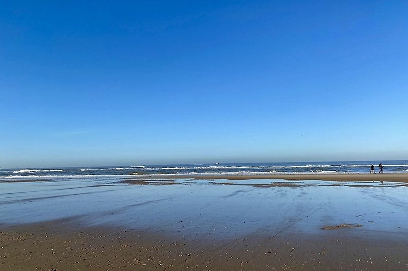 Vitamin Sea Egmond aan Zee