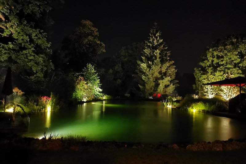 Naturschwimmpool Nacht