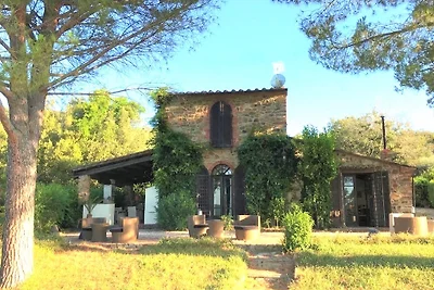 Il Falco