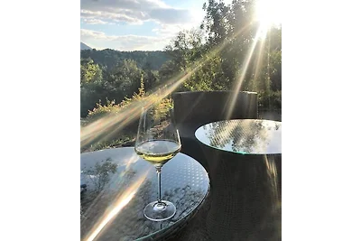 Il Falco
