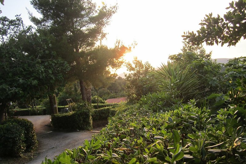 Villa Giuliana, giardino.