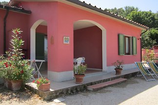 Appartamento Bilocale 4/5 Ptl.