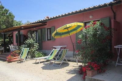Dreizimmerwohnung 6/7 Ptl.