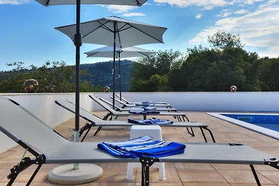 Holiday House Pan Franko