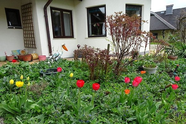 Ferienhaus Eisenberg