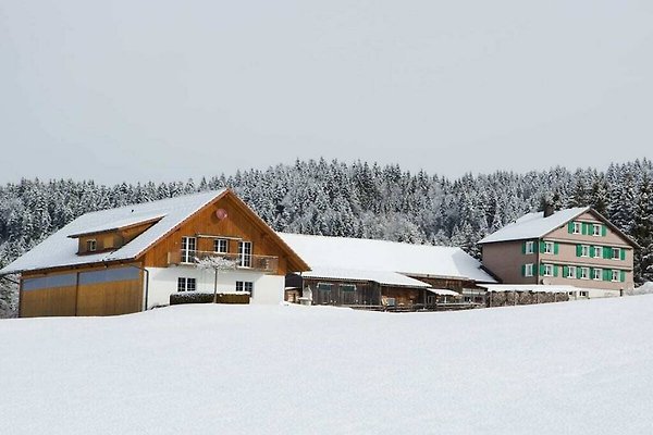 Ferienhaus Einsiedeln
