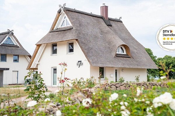 Ferienhaus Am Salzhaff