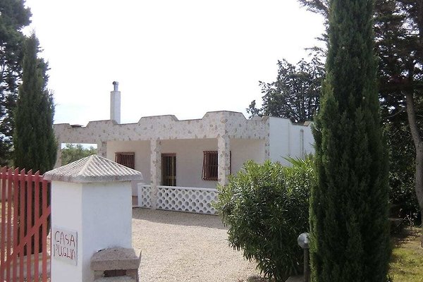 Ferienhaus Manduria