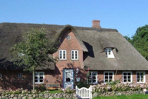 Hütte Klixbüll