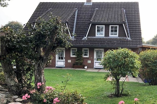 Ferienhaus Wyk
