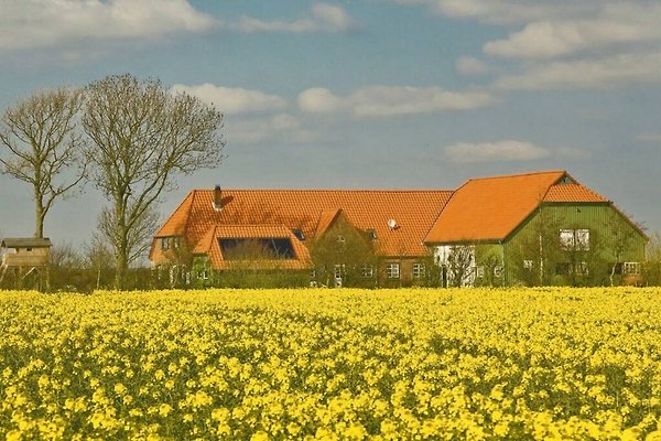 Ferienhaus Nordstrand