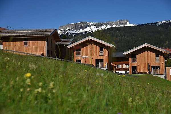 Ferienhaus Mittelberg