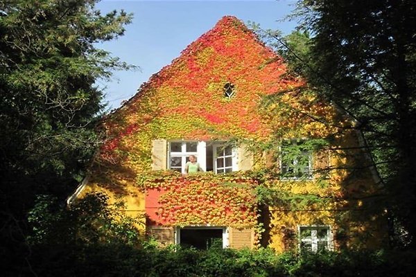 Ferienhaus Lichterfelde