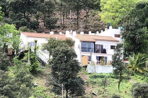 Ferienhaus Sorede
