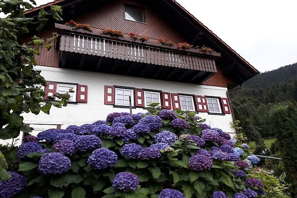 Ferienhaus Oppenau
