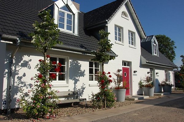Ferienhaus Wyk