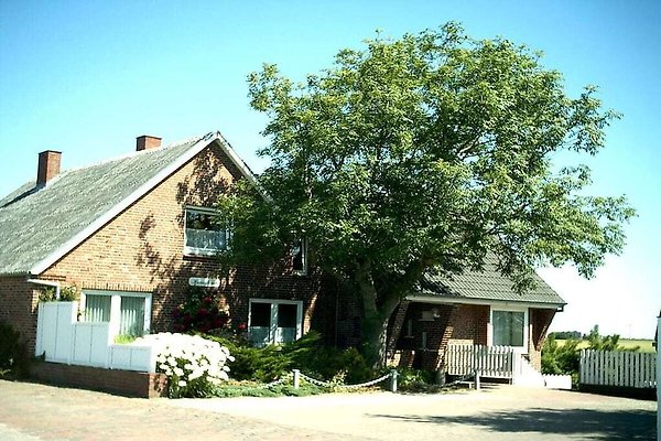 Ferienhaus Nordstrand