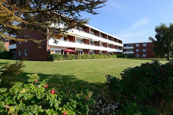 Ferienhaus Wyk
