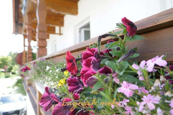 Ferienhaus Gstadt am Chiemsee