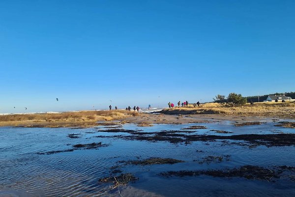 Ferienhaus Dronningmolle
