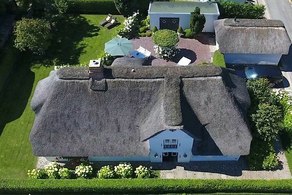 Ferienhaus Wyk