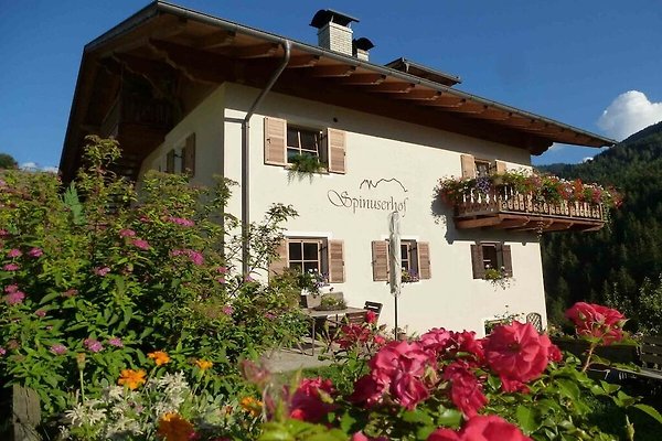 Ferienhaus Bozen