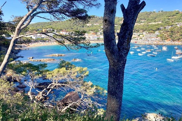Ferienwohnung Calella de Palafrugell