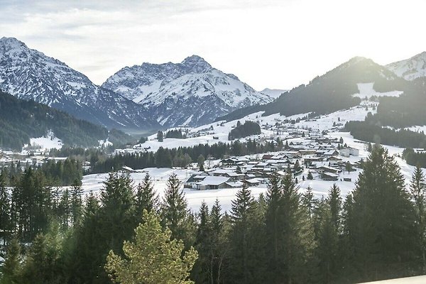 Ferienhaus Mittelberg