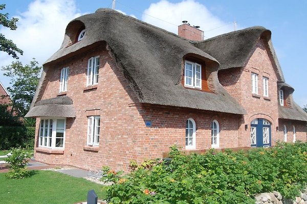 Ferienhaus Wyk