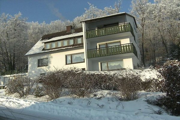 Ferienhaus Medebach